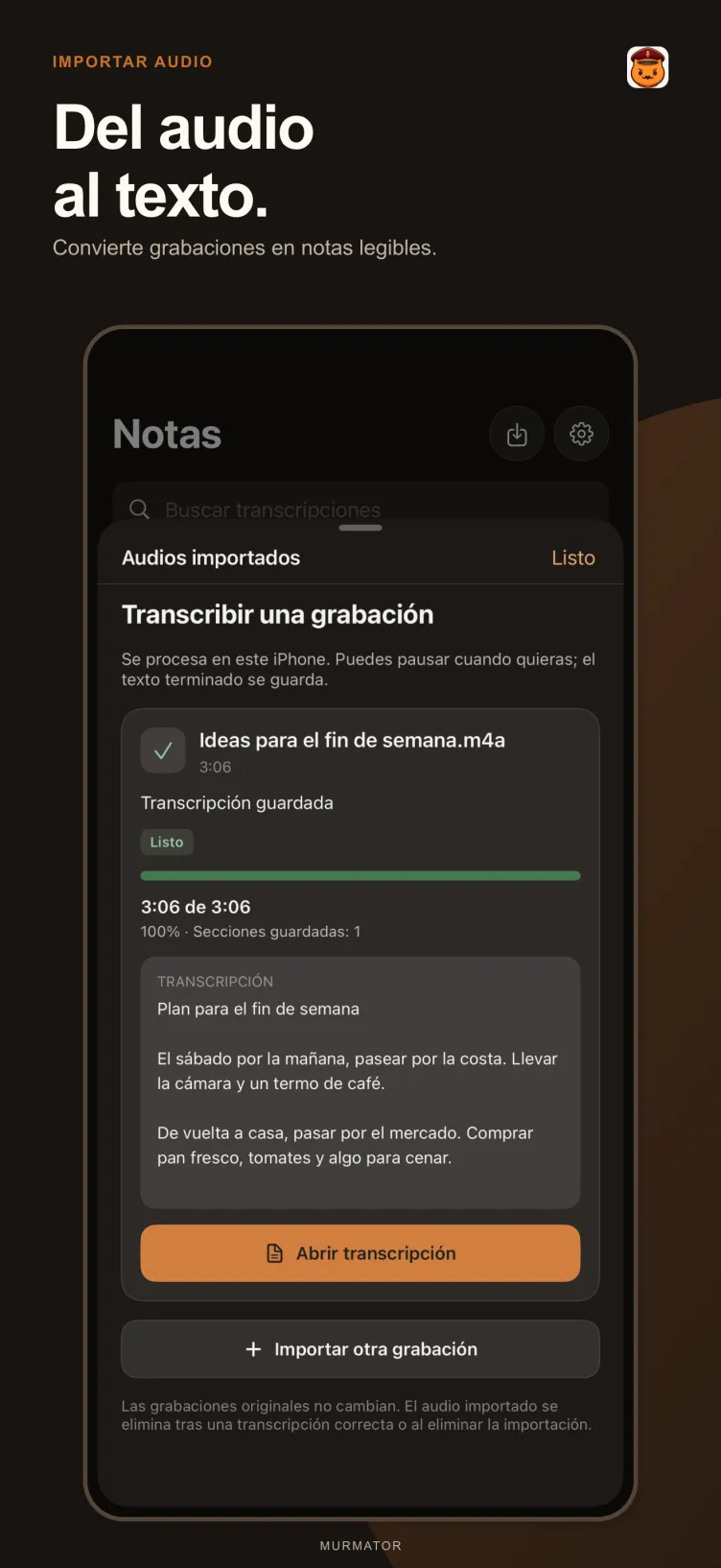 Importar audio
