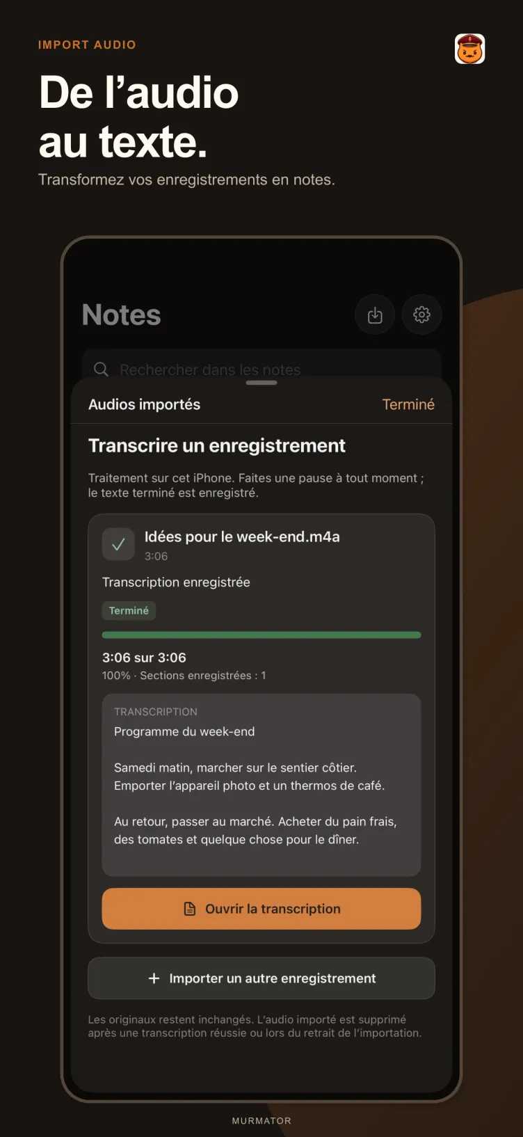 Importer un audio